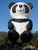PandythePanda