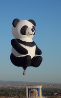 balloon photo panda.JPG