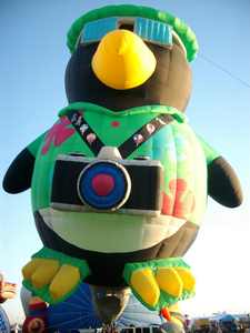 penguinsnobird5.JPG