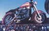 Harley special shape.jpg