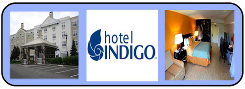 Indigo web display image.jpg