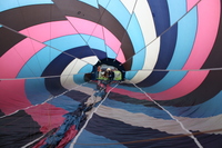 87 Have Balloon Will Travel_Kell.JPG