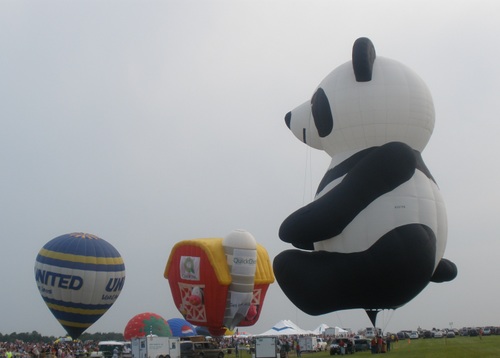 balloons friday night panda 002.jpg