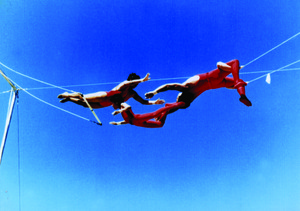 flying_pages3.jpg